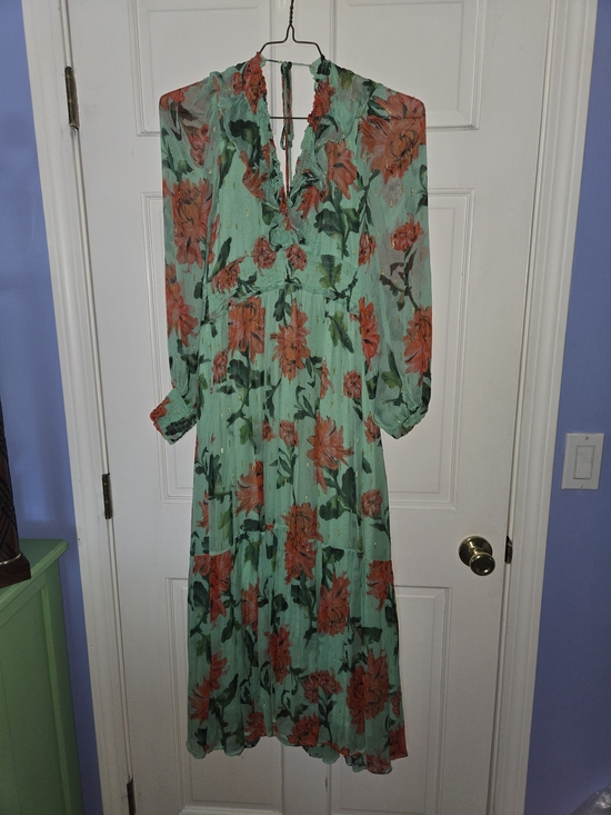 Anthropologie Dresses & Skirts - Anthropologie Mint Green Maxi Dress with Coral Floral Print - L